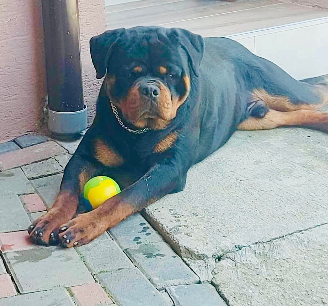Rio von Dinamios